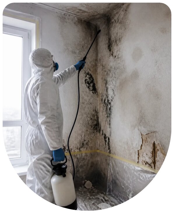 Профессиональное удаление грибка и плесени в Североморске